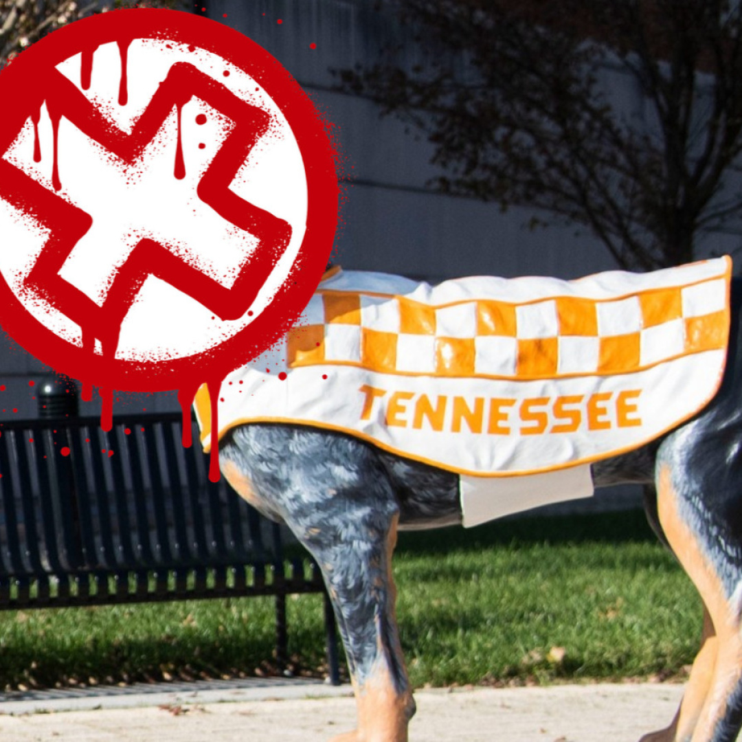 Arrest Made in Vandalism of Tennessee's Smokey Statue